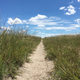 Grassy tracks, Makgadikgadi Pans National Park, Botswana.